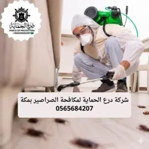 مكافحة حشرات بمكة