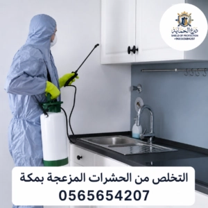 كيفية التخلص من الحشرات المزعجة بمكة