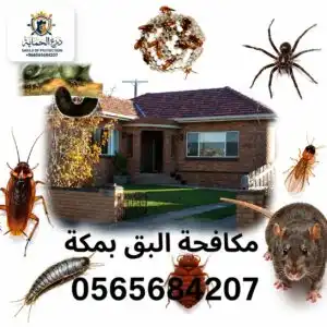 مكافحة البق بمكة