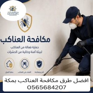 مكافحة العناكب بمكة