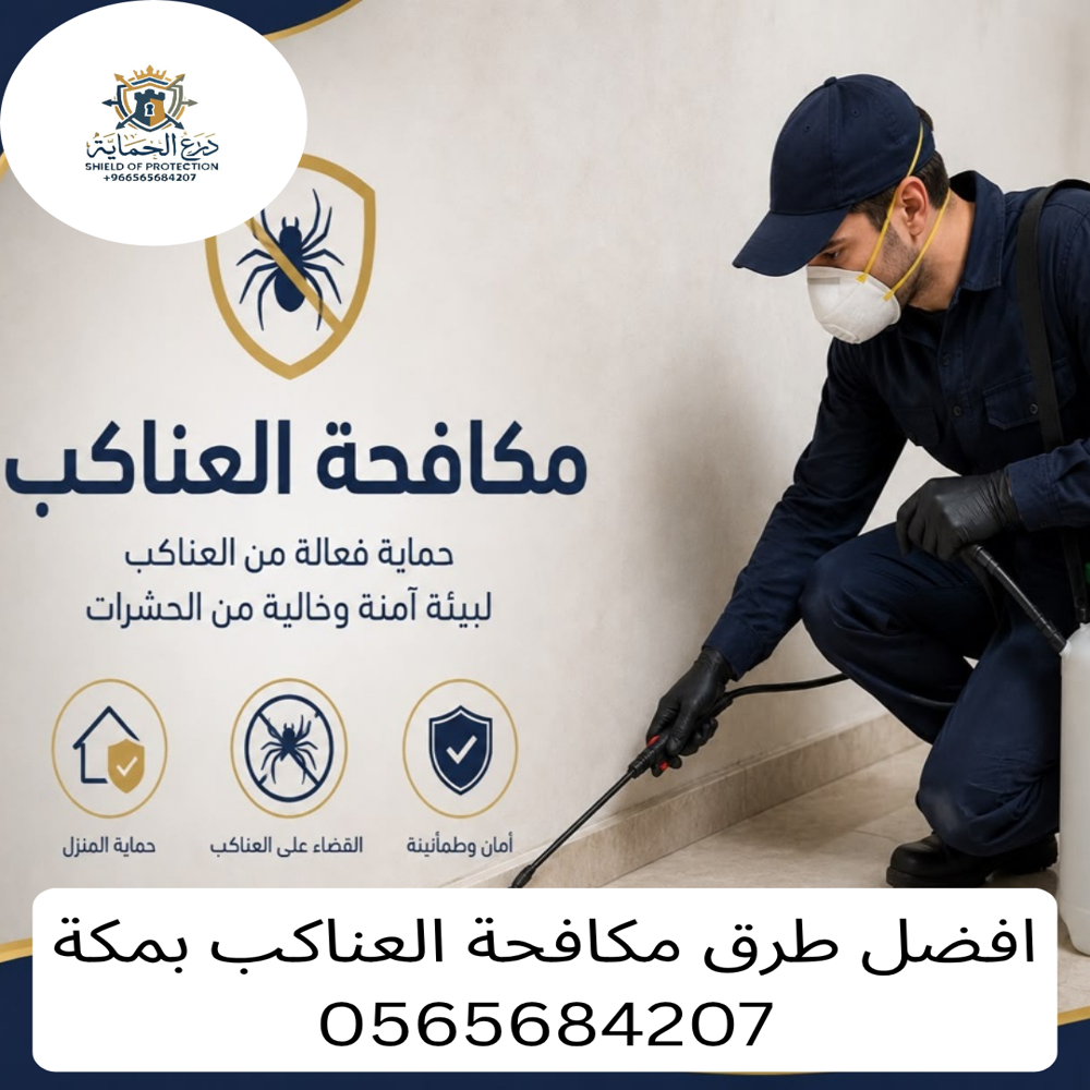 مكافحة العناكب بمكة