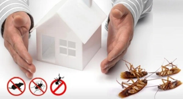 افضل طرق التخلص من الحشرات نهائيًا 2186267 (1)
