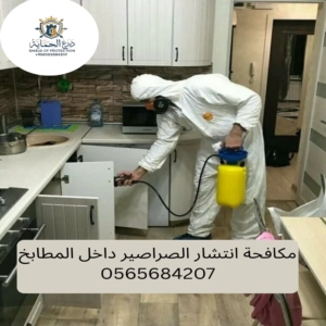 أسباب انتشار الصراصير داخل المطابخ