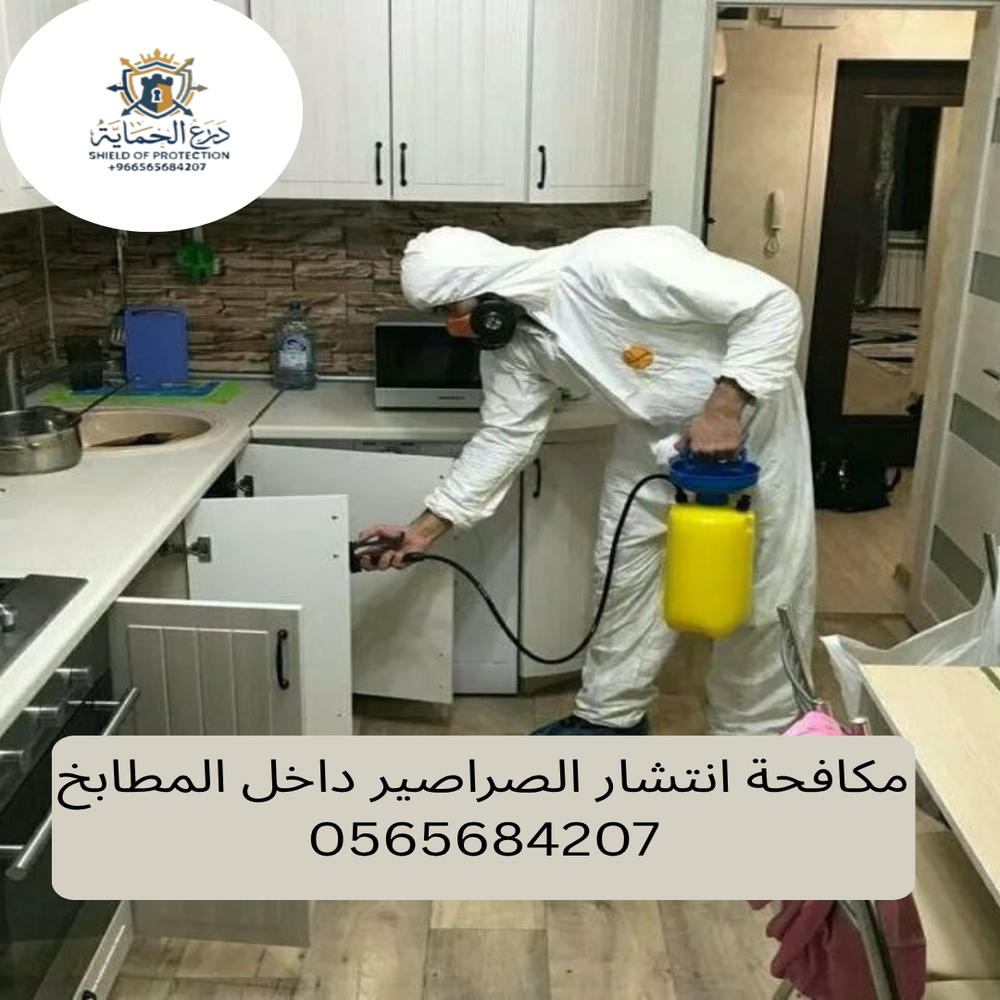 أسباب انتشار الصراصير داخل المطابخ