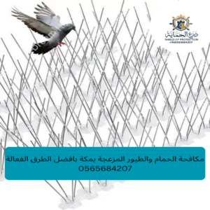 مكافحة الحمام والطيور المزعجة بمكة