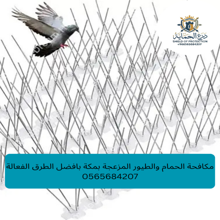 مكافحة الحمام والطيور المزعجة بمكة